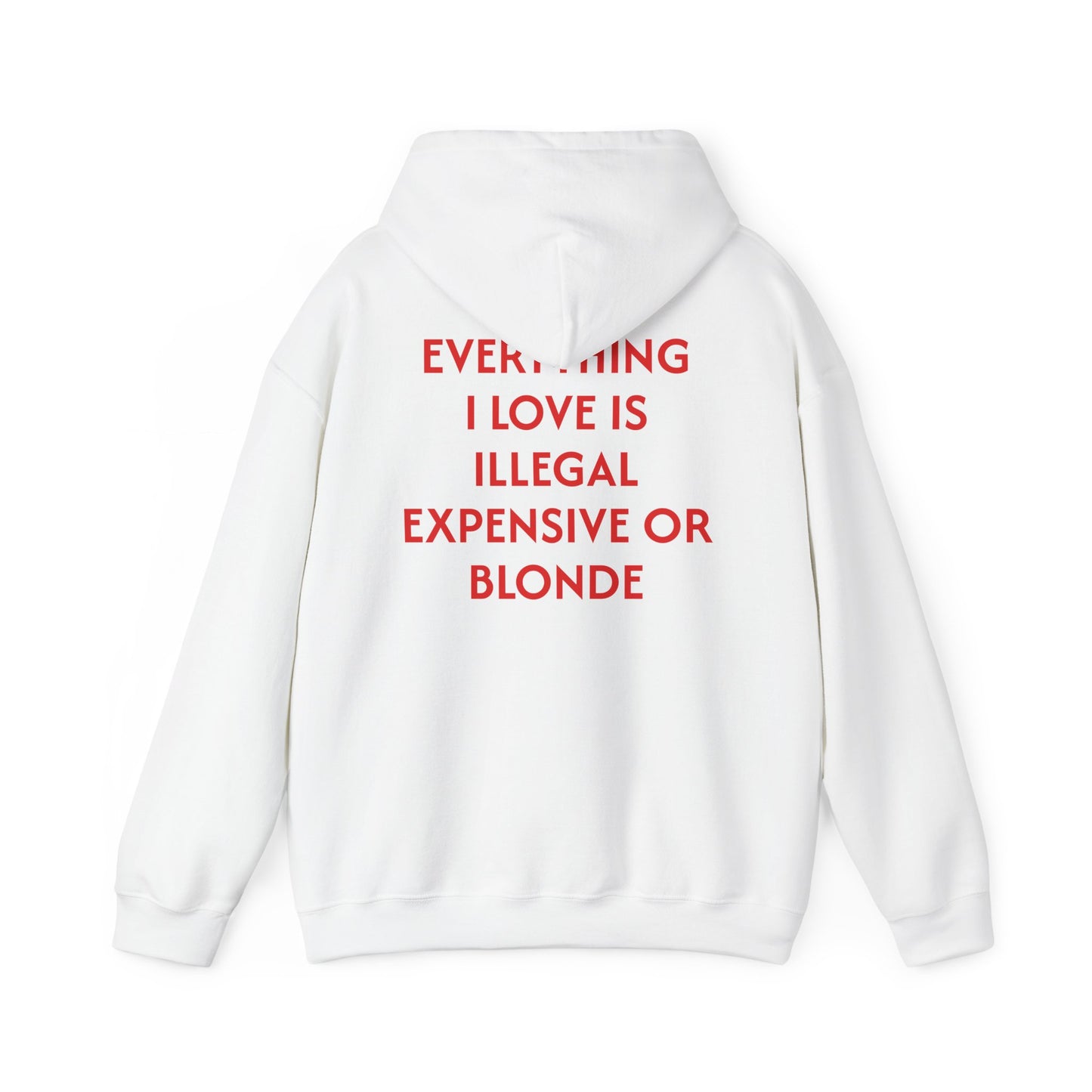 Men's Hoodie 'EVERYTHING I LOVE IS ILLEGAL EXPENSIVE OR BLONDE'