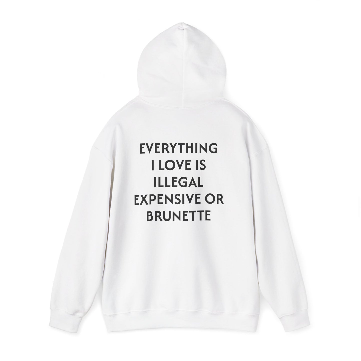 Men's Hoodie 'EVERYTHING I LOVE IS ILLEGAL EXPENSIVE OR BRUNETTE'