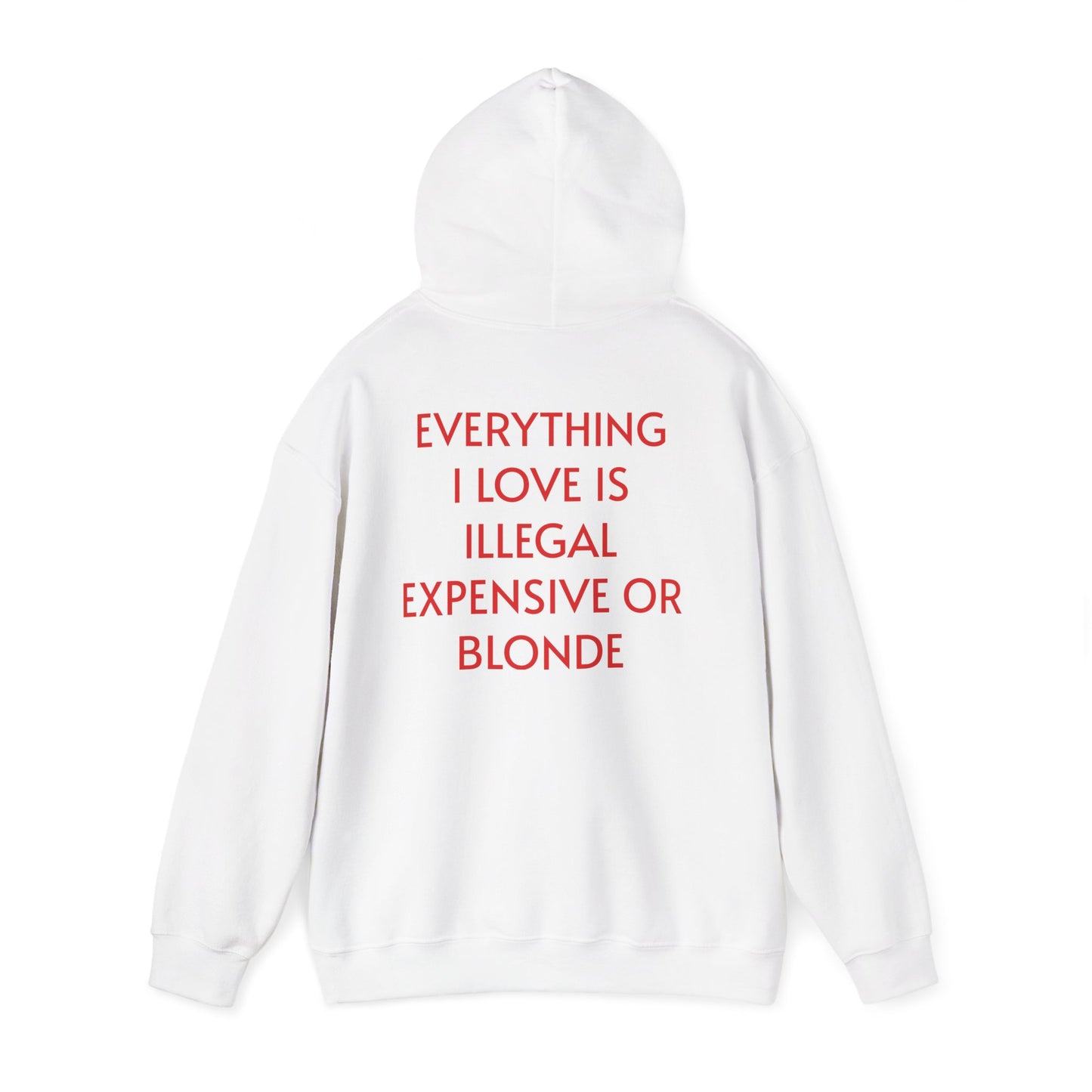 Men's Hoodie 'EVERYTHING I LOVE IS ILLEGAL EXPENSIVE OR BLONDE'