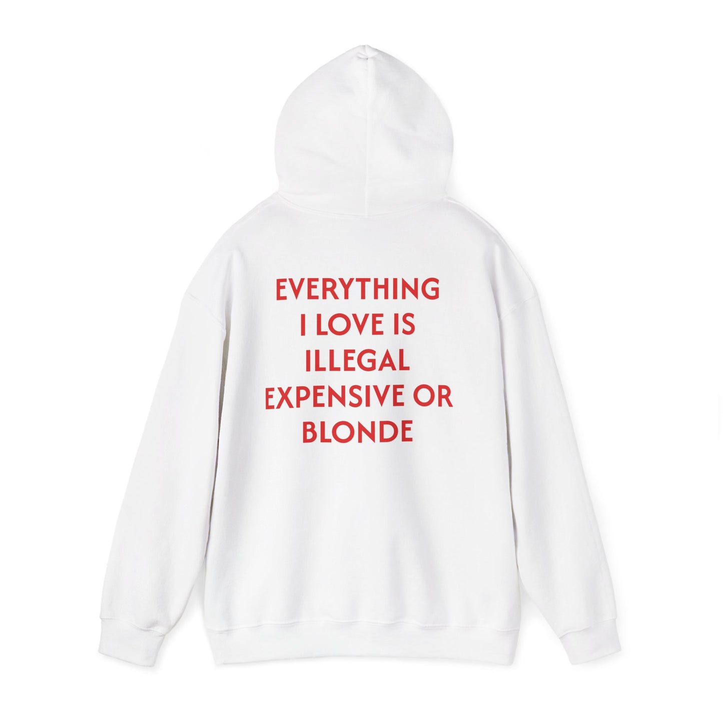 Men's Hoodie 'EVERYTHING I LOVE IS ILLEGAL EXPENSIVE OR BLONDE'