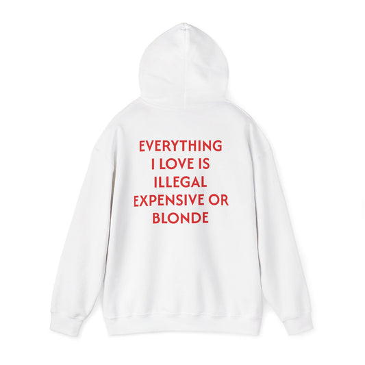 Men's Hoodie 'EVERYTHING I LOVE IS ILLEGAL EXPENSIVE OR BLONDE'