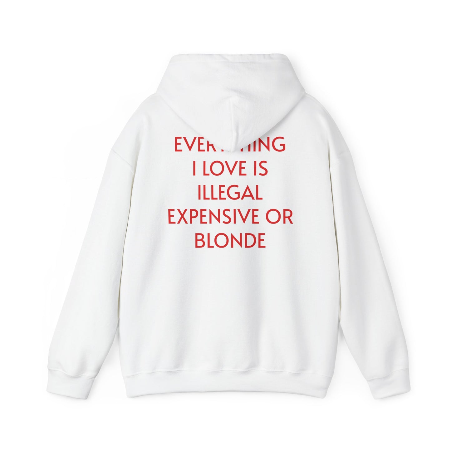 Men's Hoodie 'EVERYTHING I LOVE IS ILLEGAL EXPENSIVE OR BLONDE'