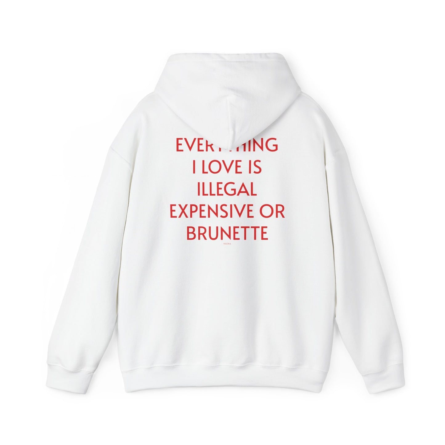 Men's Hoodie 'EVERYTHING I LOVE IS ILLEGAL EXPENSIVE OR BRUNETTE'