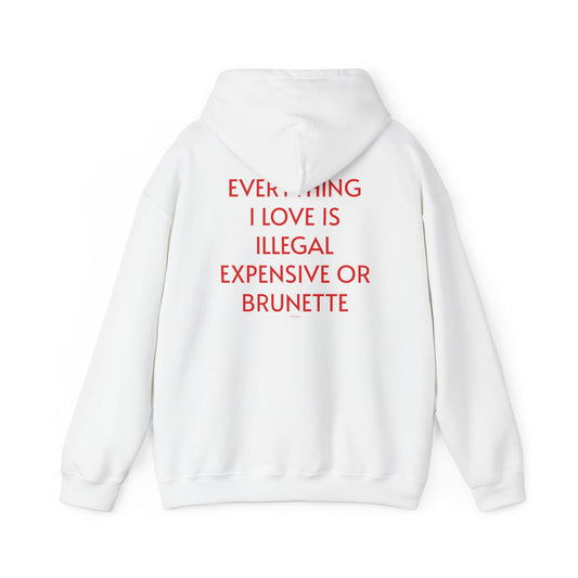 Men's Hoodie 'EVERYTHING I LOVE IS ILLEGAL EXPENSIVE OR BRUNETTE'
