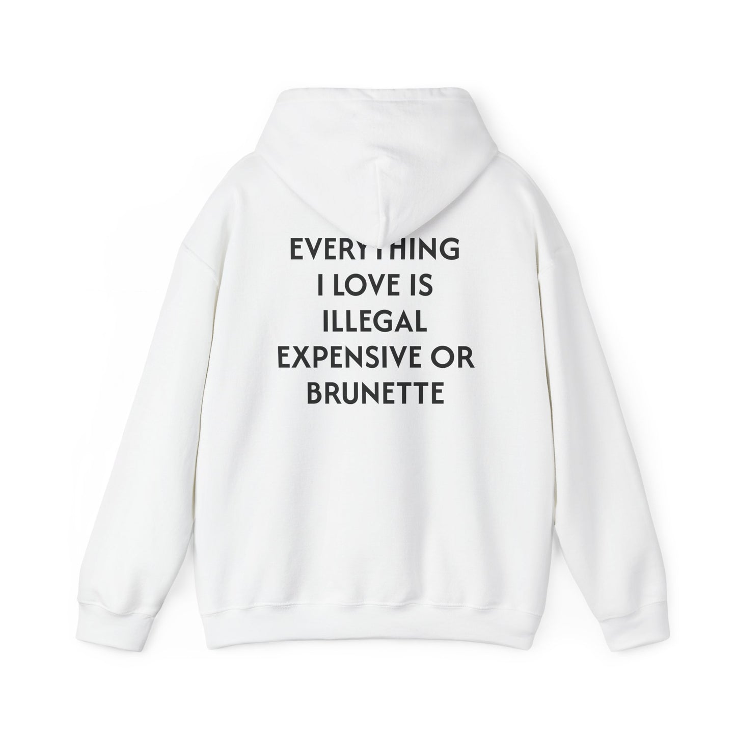 Men's Hoodie 'EVERYTHING I LOVE IS ILLEGAL EXPENSIVE OR BRUNETTE'